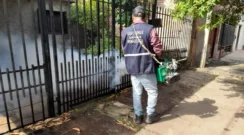 Detectan un caso de chikungunya en Sáenz Peña