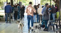 Por el día del animal se realizó una jornada de vacunación y desparasitación de mascotas en la plaza San Martín
