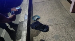 Un hombre se arrojó al Paraná desde el puente General Belgrano era de Corrientes